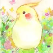 クルルの画像