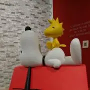 yukiの画像