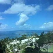 きりんこの画像