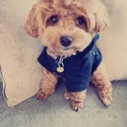 ☆モニ☆