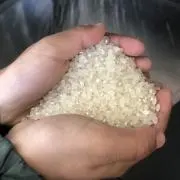 mugichan