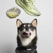 Kyaの画像