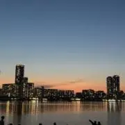 名前募集中の画像