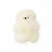 aの画像