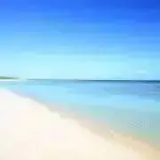 SEAの画像