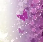 m.mの画像