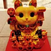 だいふく☆即購入大歓迎です☆の画像