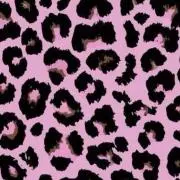 ナナの画像
