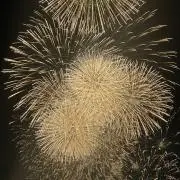 @プロフィール必読★の画像