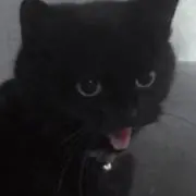 ㄹㅋの画像