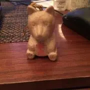 wasabiの画像