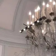 ゆーの画像