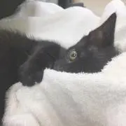あーちゃん