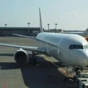 澤本
