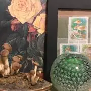 turuの画像