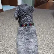 Take
