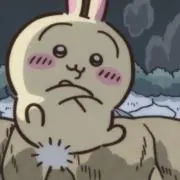 ちょびの画像