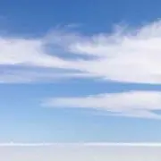 monkey_starの画像