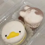 ぺんねこの画像