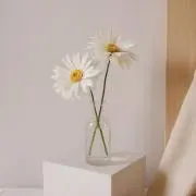 arの画像