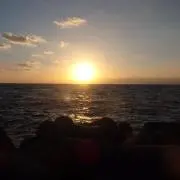 F55の画像