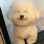 西区