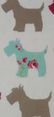 豆吉の画像