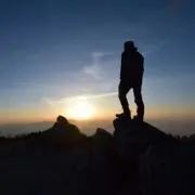 Tの画像