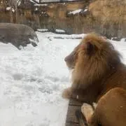 トカイ屋の画像