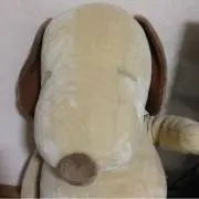 ゆんゆん