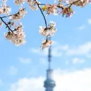 meiの画像