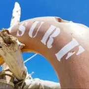 Mi