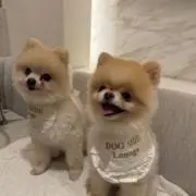 おりば