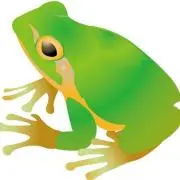 カエルの画像
