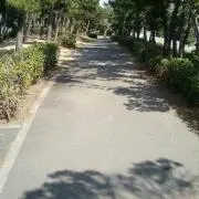 ダイゾーの画像