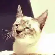 もちベーコンの画像