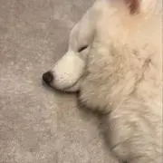 うぇ