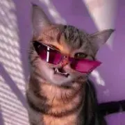 ちゃんの画像