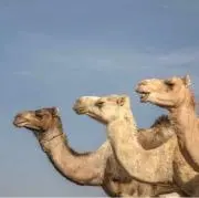 ☻の画像