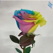 りおちの画像