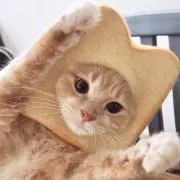 ベン