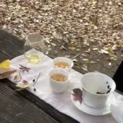 yukimikiの画像