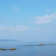 さっちゃんの画像