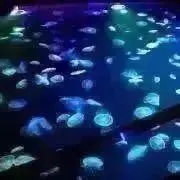 HanAppy■プロフ見て下さいの画像