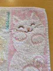 アリンコの画像