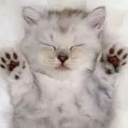 あややん