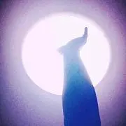 銀のシャチホコ