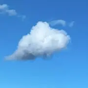 しましまの画像