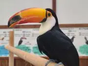 み(プロフ必読でお願いします)の画像