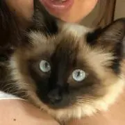 ヨシエ